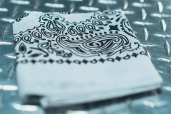 47.BandanaWhite