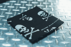 55.BandanaSkullandCrossbones