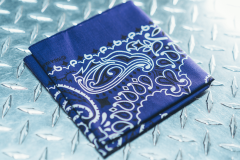 92.BandanaBlue
