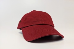 new_0000_cap-1