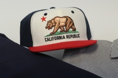 new_0004_cap-6