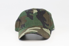 new_0009_cap-11